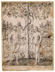 La caduta dell